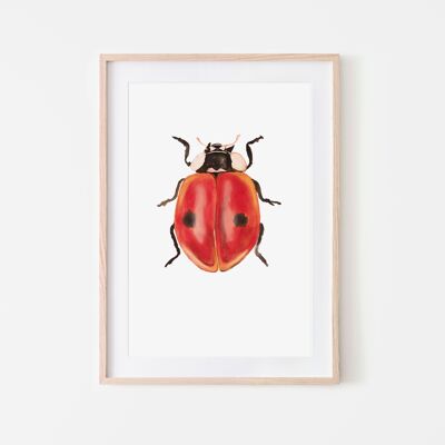 Ladybug insect print A3