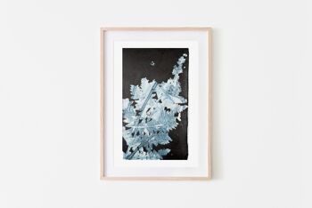 Impression d'art Flora Fern bleu - A4 2