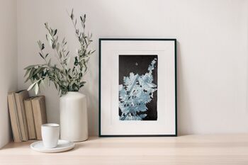 Impression d'art Flora Fern bleu - A4 3