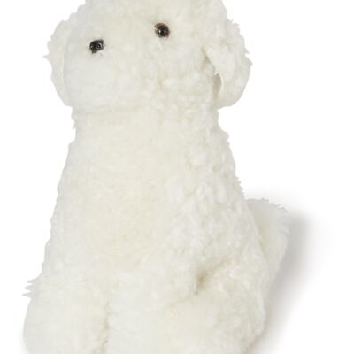 House dog Snowy curly sheepskin_White_Gift
