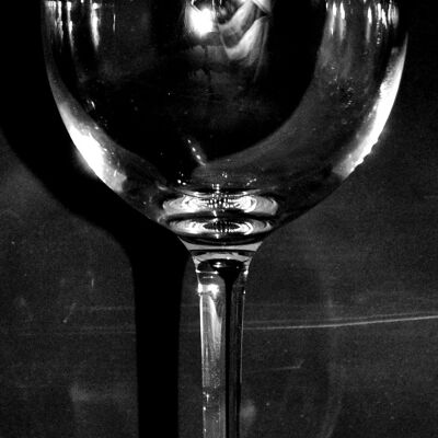Wine Glass with Labrador Frieze