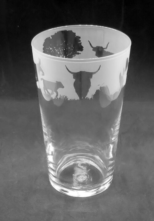 Conical Pint Glass with Highland Cattle Frieze