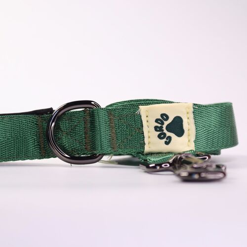 Leash-Green