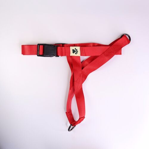 Harness - Red