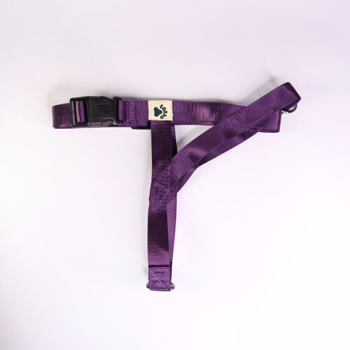Harness - Purple