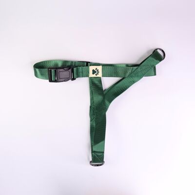 Harness - Green