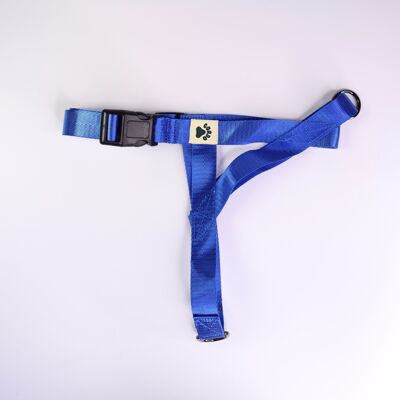 Harness - Blue