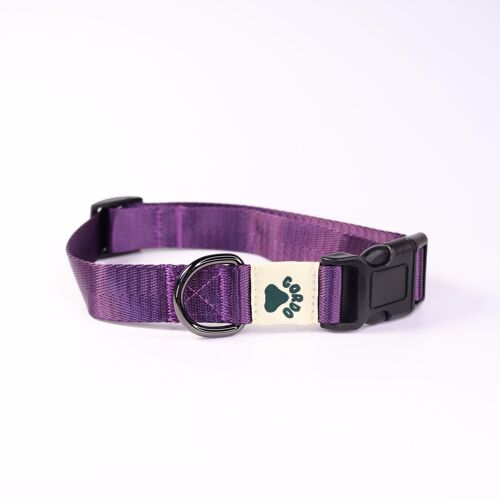 Collar - Purple