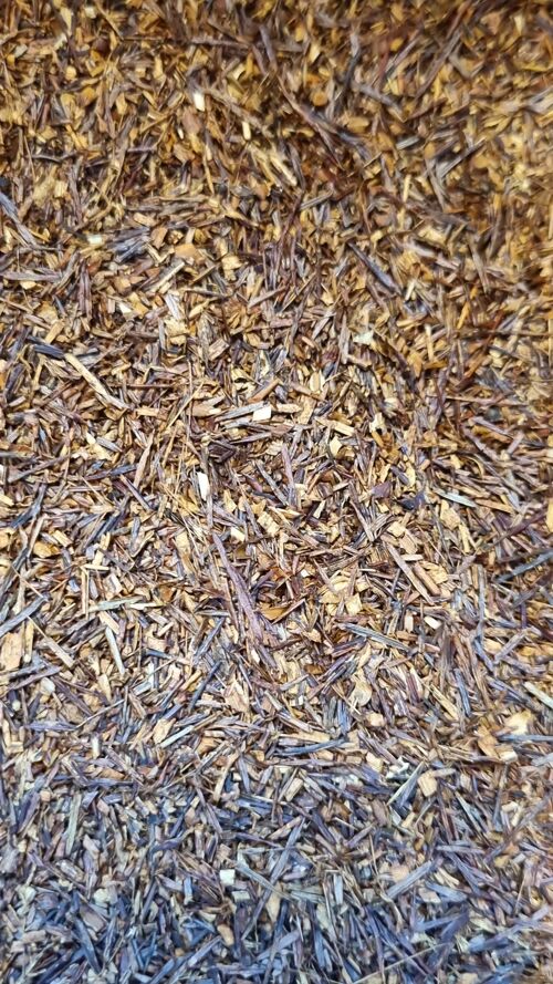 Rooibos