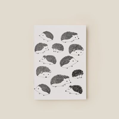 Notebook A6 Hedgehogs