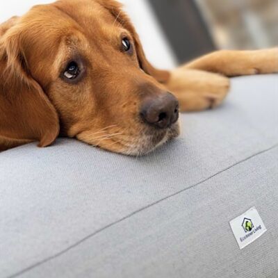 Coussin chien M/L 'Mia'