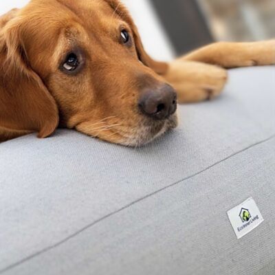 M/L dog cushion 'Mia'