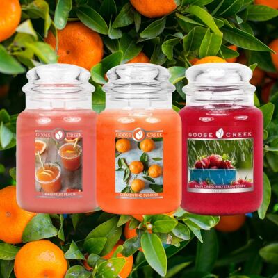 Bougie parfumée Pack Fruité