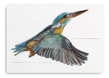 Oiseau martin-pêcheur Imprimer A4 4