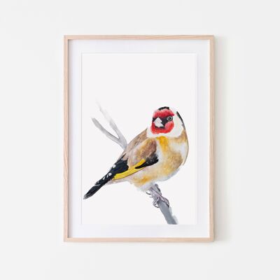 Goldfinch in Watercolor Painting Bird Print A4