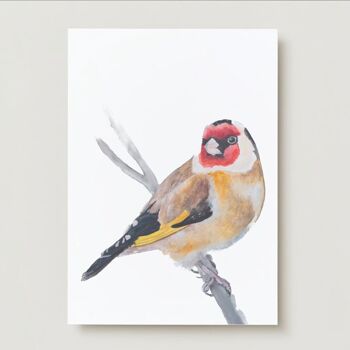 Chardonneret en aquarelle peinture oiseau impression A4 2