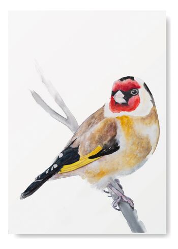 Chardonneret en aquarelle peinture oiseau impression A4 3