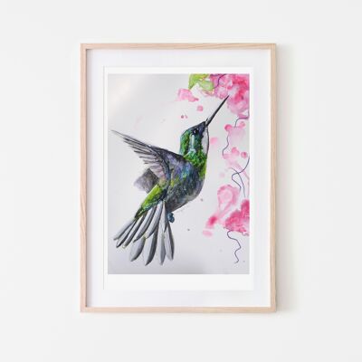 Stampa di uccelli tropicali colibrì A4