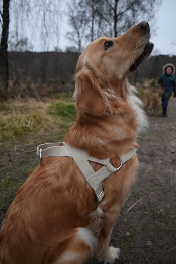 Harnais pour chien facile à mettre | Chanvre | Écologique | Grande 4