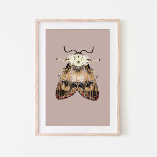 Moth with red dots insect moth print A4