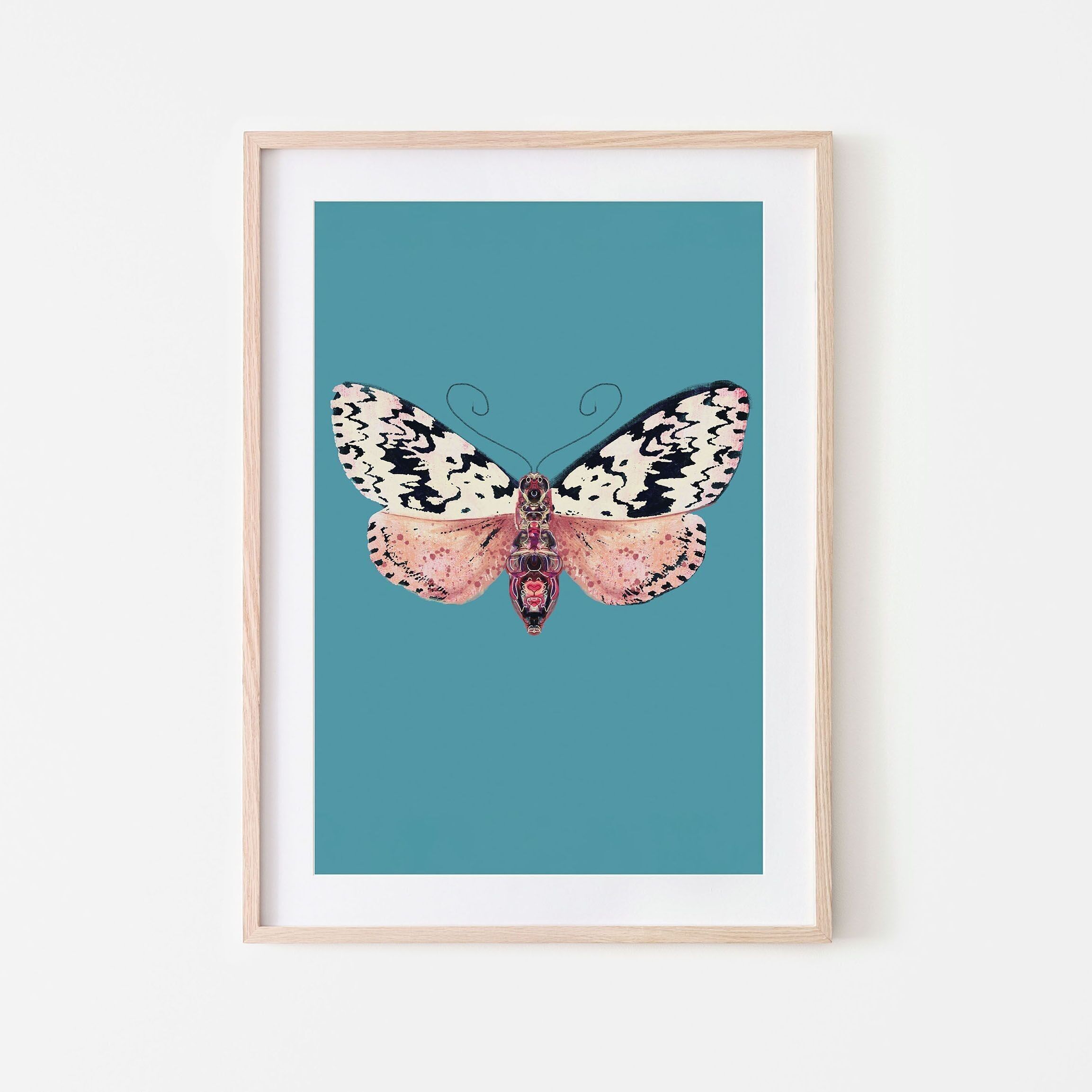 Stampa di falena insetto maculata A4