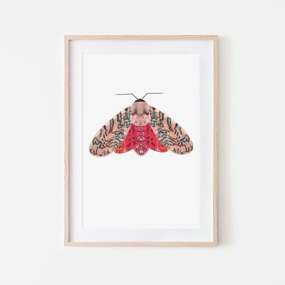 Pink red moth art print colored background A4