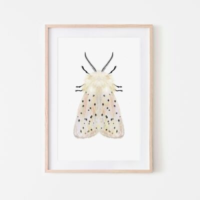 White moth insect moth art print A4