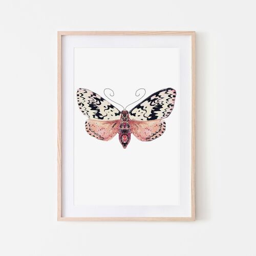 Speckled moth insect moth art print - A4
