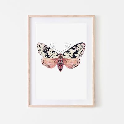 Speckled moth insect moth art print - A4