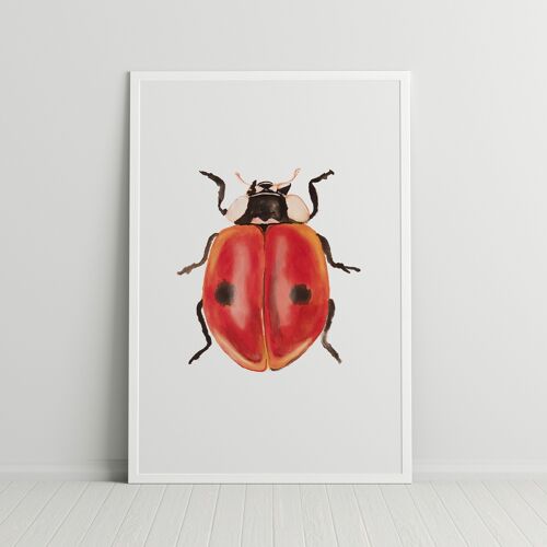 Ladybug insect print A4