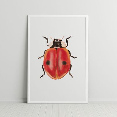 Ladybug insect print A4