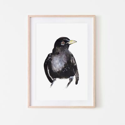 Blackbird Bird Print A4