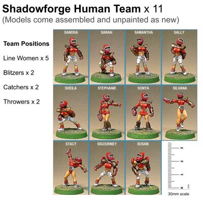 Shadowforge Human Team x 11 Players
