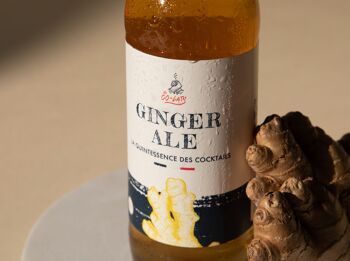 La Co-lab - Ginger Ale 3