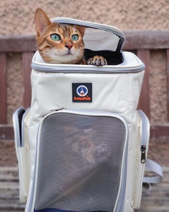 Kaufen Sie SWIZZPETS™ Katzen-Rucksack Haustier-Reiserucksack Tasche Katze  Hündchen Tragetasche Haustier-Rucksack SCHWARZ UND BLAU zu  Großhandelspreisen