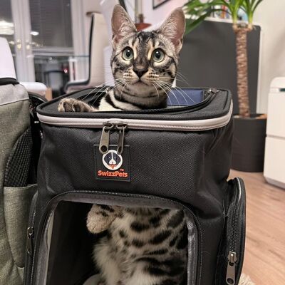 SWIZZPETS™ Cat Backpack Pet Travel Backpack Bag Cat Puppy Dog Carrier Pet Back Pack BLACK AND BLUE