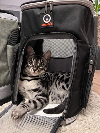 Kaufen Sie SWIZZPETS™ Katzen-Rucksack Haustier-Reiserucksack Tasche Katze  Hündchen Tragetasche Haustier-Rucksack SCHWARZ UND BLAU zu  Großhandelspreisen