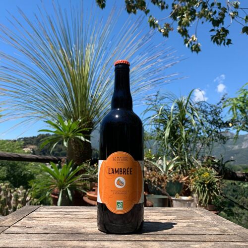 Bière Ambrée à l'Orange Bio - 75 cl