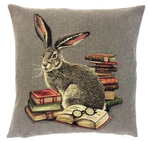 decorative pillow cover rabbit with books