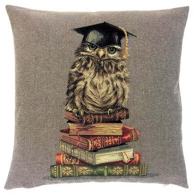 taie d'oreiller décorative hibou avec des livres