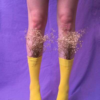 Einfarbige Socken aus Bio-Baumwolle von Klue | Gelb