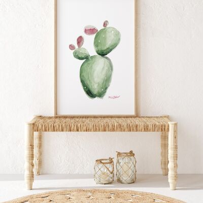 Bild Kaktusfeige I