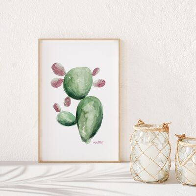 Picture Prickly Pear II