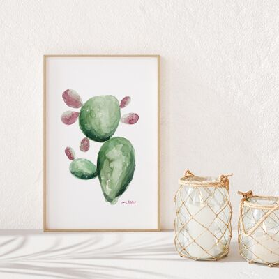 Picture Prickly Pear II
