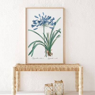 Blue V Botanical Painting