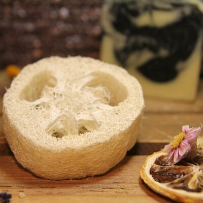 Loofah Disc - Natural Soap Dish and Exfoliating Sponge