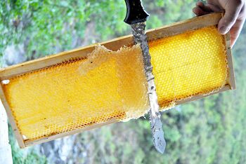 Clementine honey PDO honey from Corsica - Mele di Corsica 250g 2