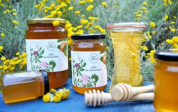 Spring Honey PDO Honey from Corsica 250g 2