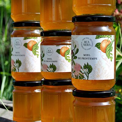 Spring Honey PDO Honey from Corsica 400g
