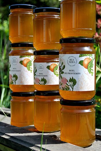 Spring Honey AOP Honey from Corsica 400g 1